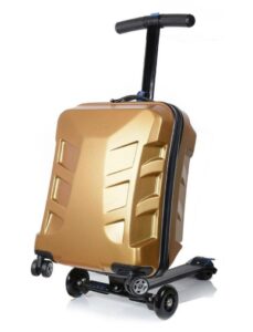 this is an image of the sondre scooter luggage