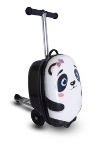 this is an image of the zincflyte panta scooter luggage