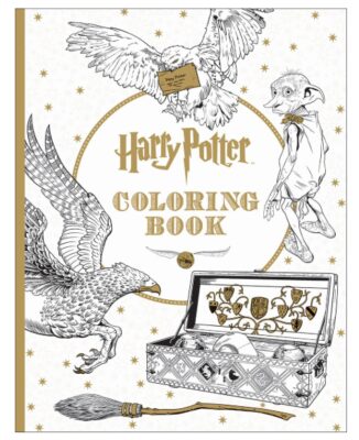 This is an image of a Harry Potter kid's coloring book. 