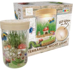 this is an image of a terrarium night light kit