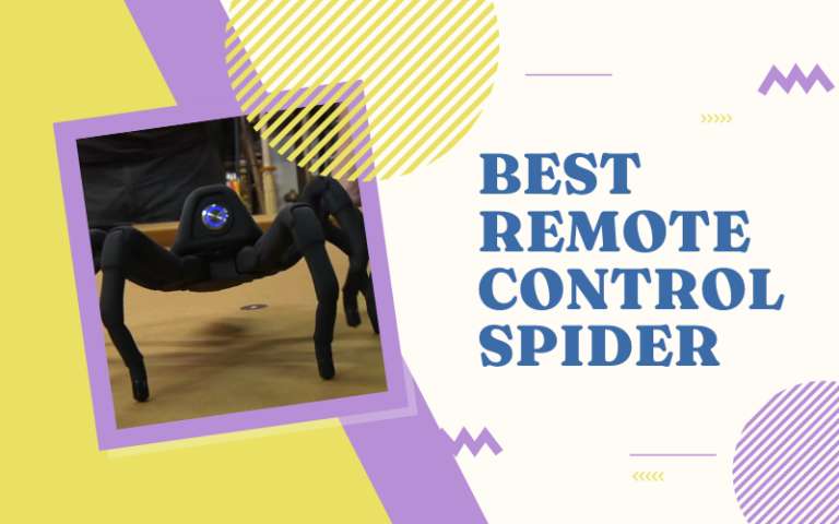 Best Remote Control Spider