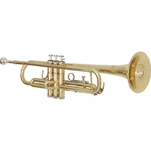 Image result for beginner trumpet