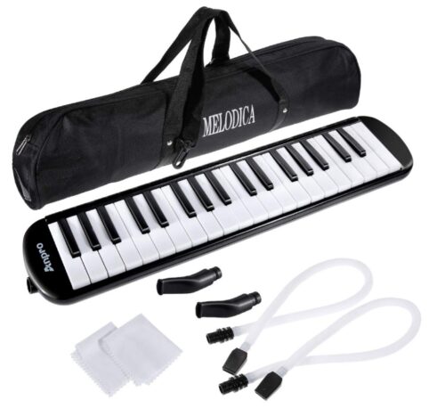this is an image of a 37 key melodica instrument for kids. 