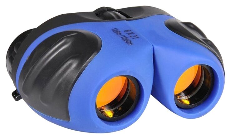 A pair of binoculars in blue color.