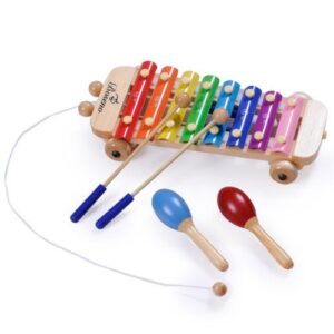 toddler xylophone with maracas