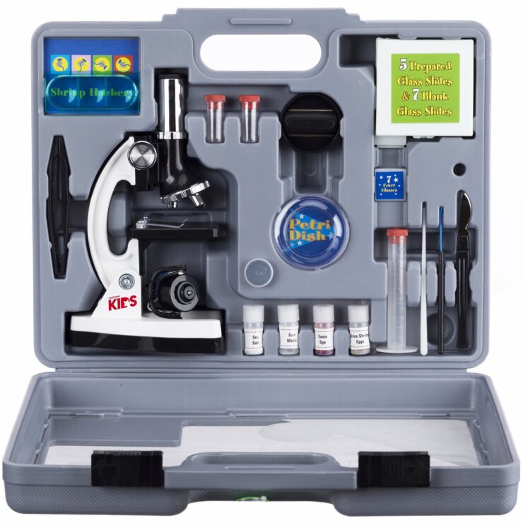 Image of a microscope set for kids in a gray case.