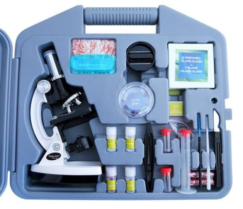 Balance Living Microscope Set