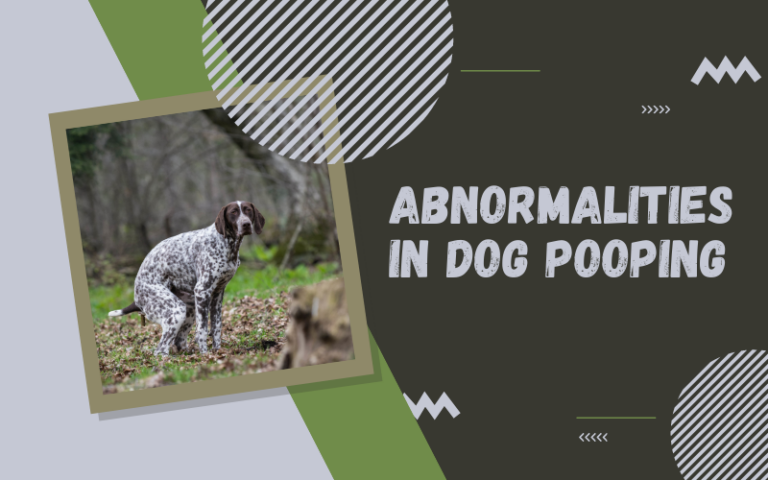 Abnormalities in Dog Pooping