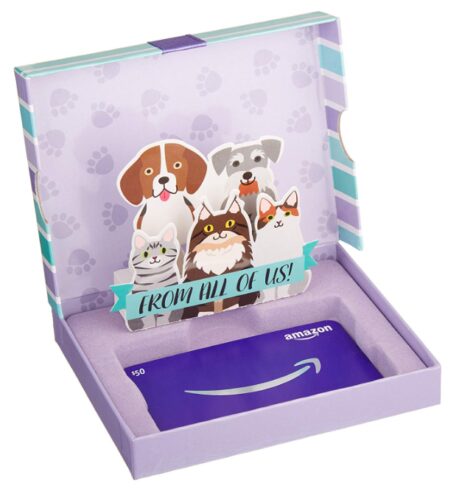 this is an image of an Amazon gift card pop-up box for teens. 