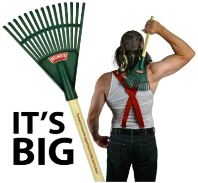 This is an image of borther's backscratcher
