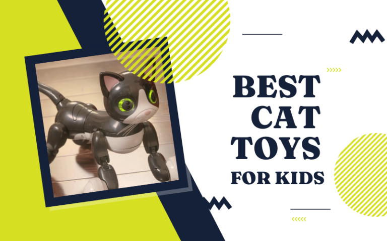 Best Cat Toys for Kids