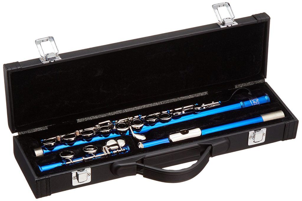 Flute in case