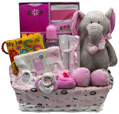 This is an image of newborn girl necessary items basket gift 