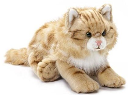 This is an image of Plush Maine Coon Cat