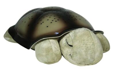 this is an image of a turtle classic nightlight for kids ages 2 and up. 