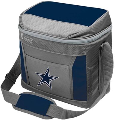 This is an image of brother's cooler bag in gray and blue colors
