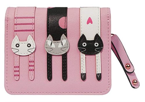 this is an image of a cute cat wallet for teenage girls.
