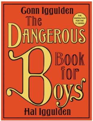 This is an image of teen's dangerous book of boys 