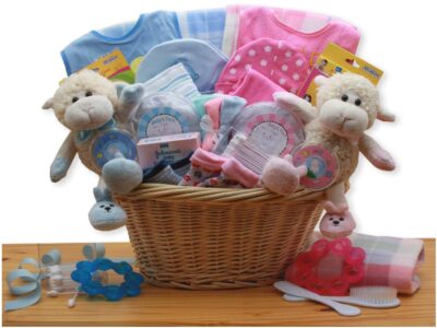 Double Delight Twins New Baby Gift Basket