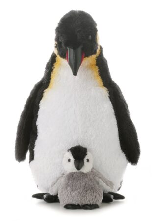 This is an image of an emperor penguin with a little fuzzy grey penguin. 