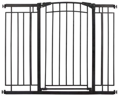 this is an image of a black metal walk thru gate. 