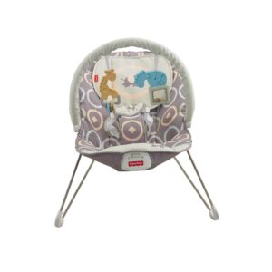 Fisher-Price Baby Bouncer Luminosity