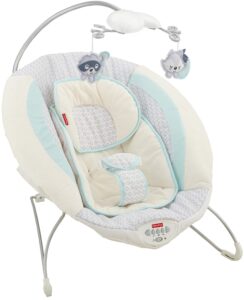 Fisher-Price Moonlight Meadow Deluxe Newborn Rock 'n Play Sleeper 