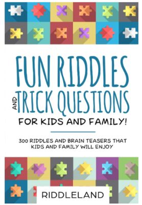 this is an image of a 300 riddle and brain teaser book for the whole family.