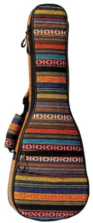 This is an image of ukulele case
