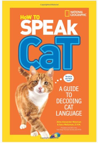 this is an image of a how to speak cat guide book for young girls. 