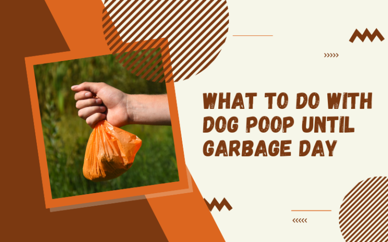 How to Store Dog Poop Until Trash Day