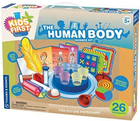 This is an image of Human Body Kit game boxset for kids