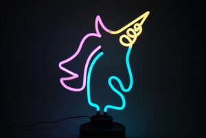 Indoor Decorative Neon Light