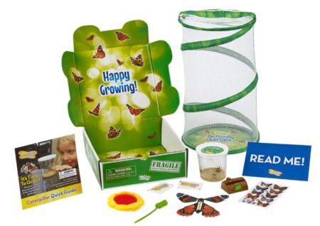 This is an image of a live butterfly garden gift set.