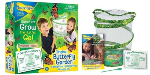 Insect Lore Original Butterfly Garden