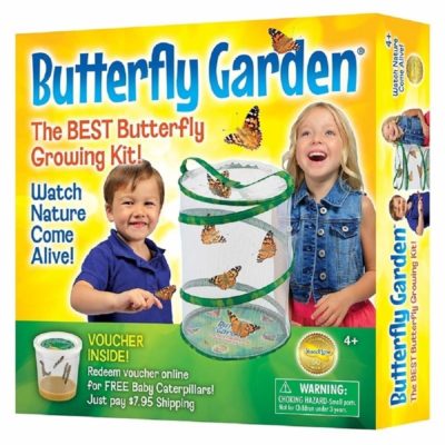 This is an image of a butterfly garden kit for kids. 