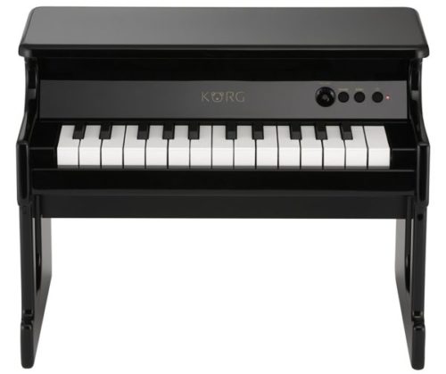 small Black 25 key piano