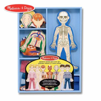 This is an image of a wooden magnetic human body play set by Melissa and Doug. 