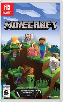 This is an image of a Minecraft game .