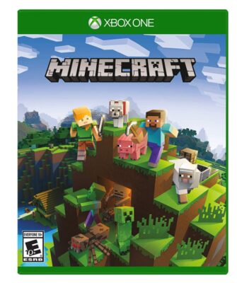 this is an image of a Minecraft for kids.