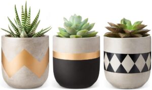 Mkono Cement Succulent Planter Set 