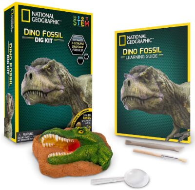This is an image of kid's National geographic dino fossil dig kit 