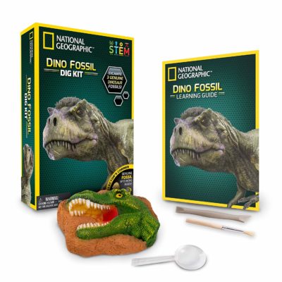This is an image of a Nat Geo Dinosaur dig kit. 