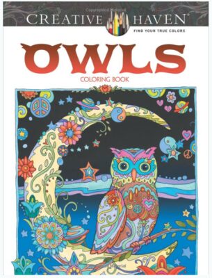 This is an image of an owl art book for kids. 