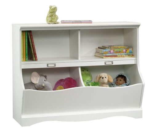 this is an image of a pogo bookcase for kids. 