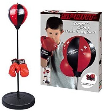This is an image of kids punching boxing bag