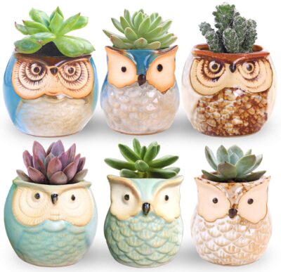 his is an image of a 6-piece ceramic bonsai owl pots.