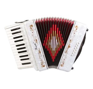 this is an image of the rossetti beginner accordion