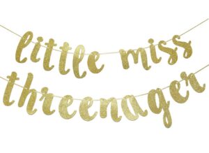 this is an image of a little miss threenager party banner