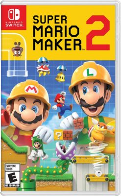This is an image of a Super Mario Maker game.